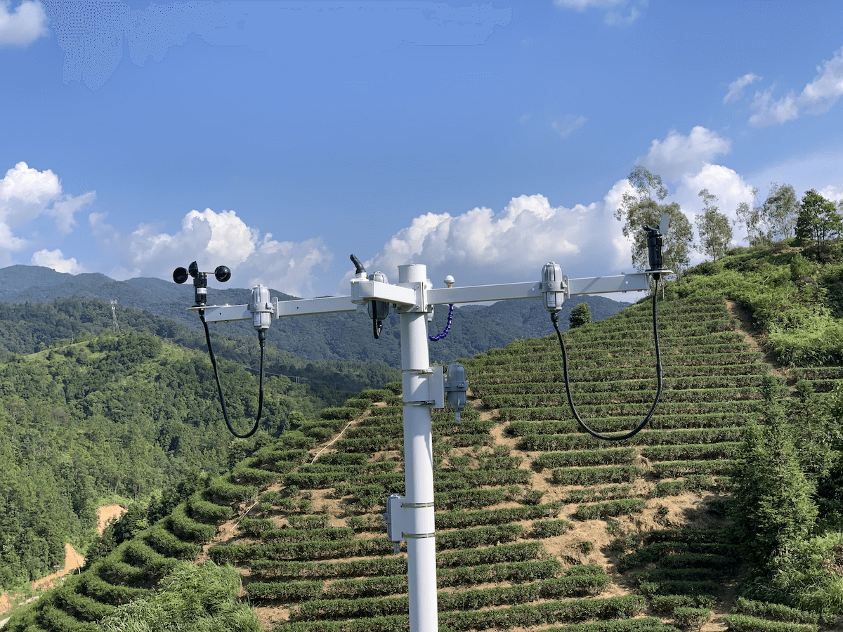 SenseCAP LoRaWAN, Guangdong, Güney Çin’deki Hakka Köylerinde Çevresel Verileri Toplayarak Turizmi Güçlendiriyor