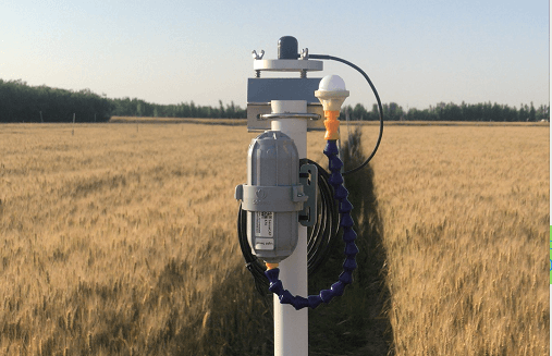 SenseCAP LoRaWAN, Dış Mekan Triticale Tarımında Kullanıma Alındı, Dingzhou, Hebei Eyaleti, Kuzey Çin’de Hassas Tarımı Güçlendiriyor