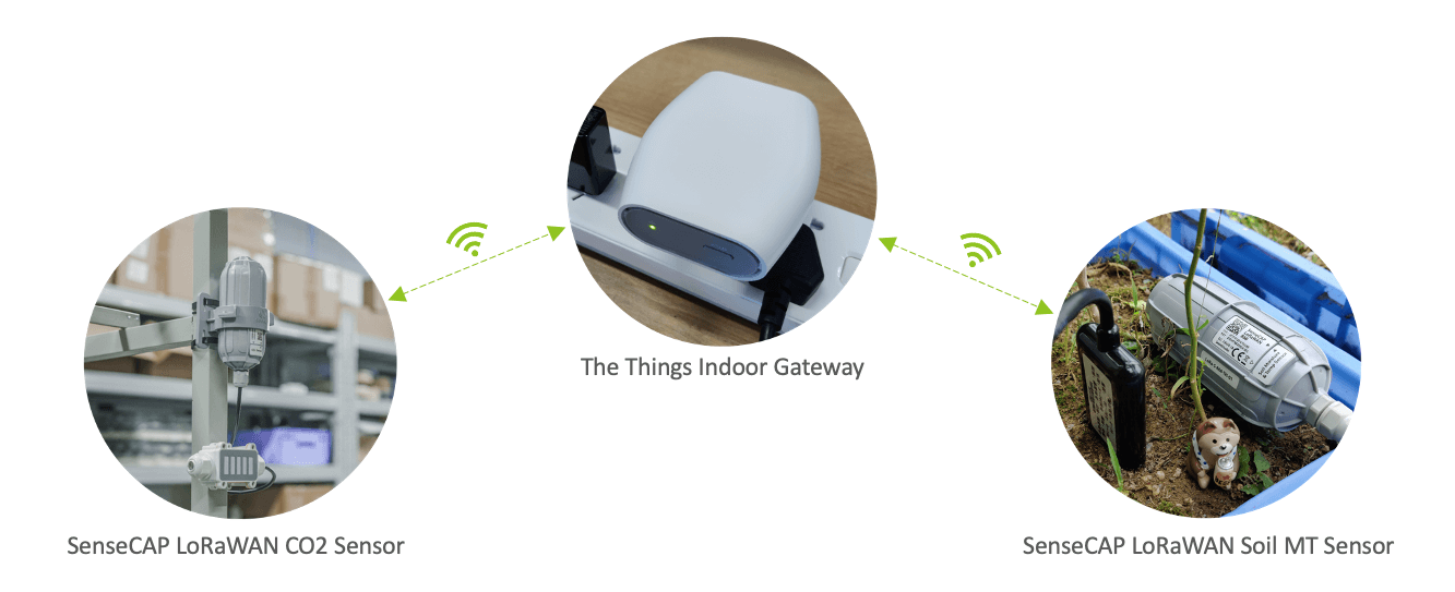 The Things Indoor Gateway: SenseCAP Sensörü ile Nasıl Başlanır