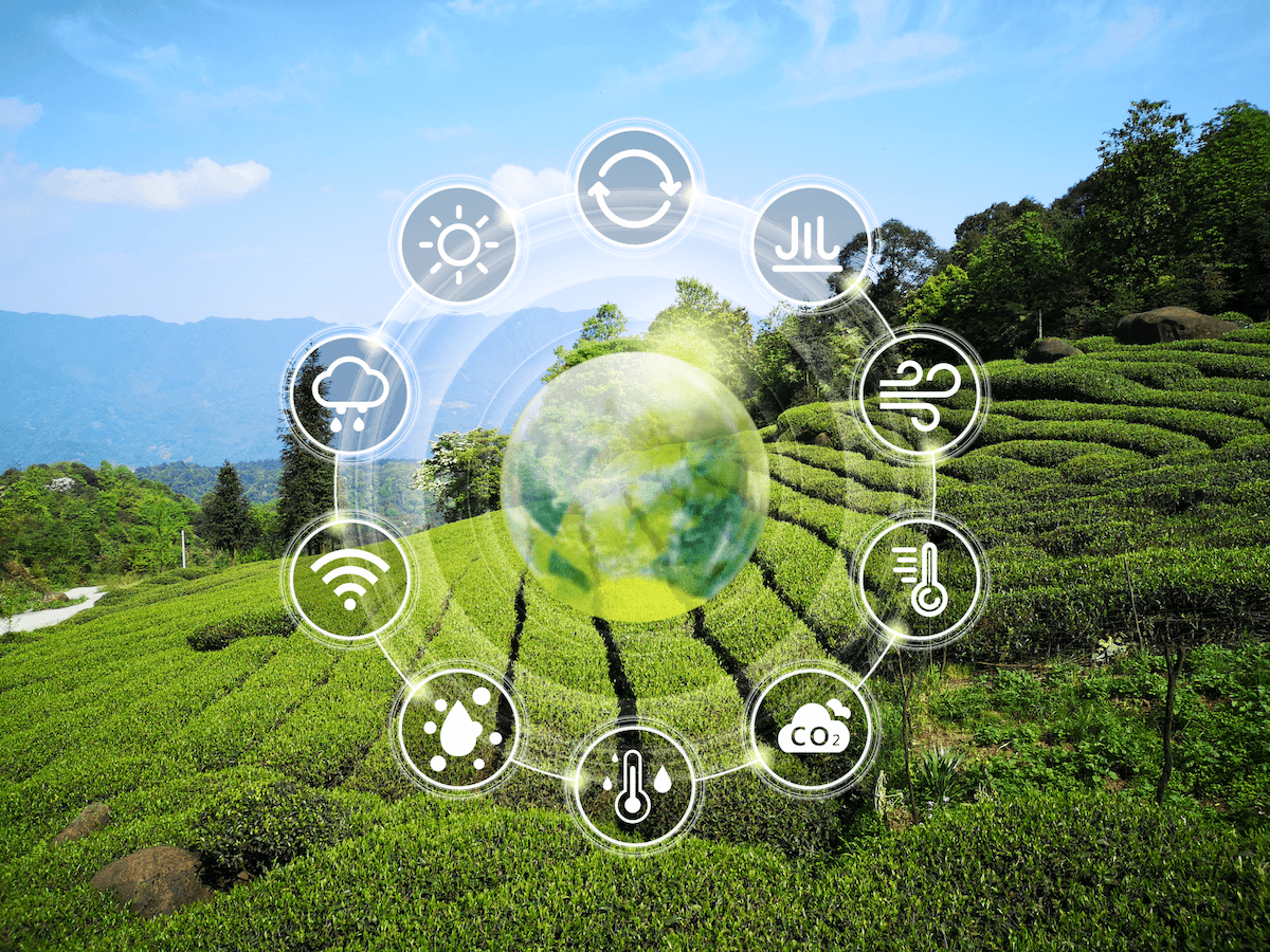 Seeed IIoT Ürünleri SenseCAP 2020 Yeşil Teknoloji Kataloğu için Kısa Listeye Alındı