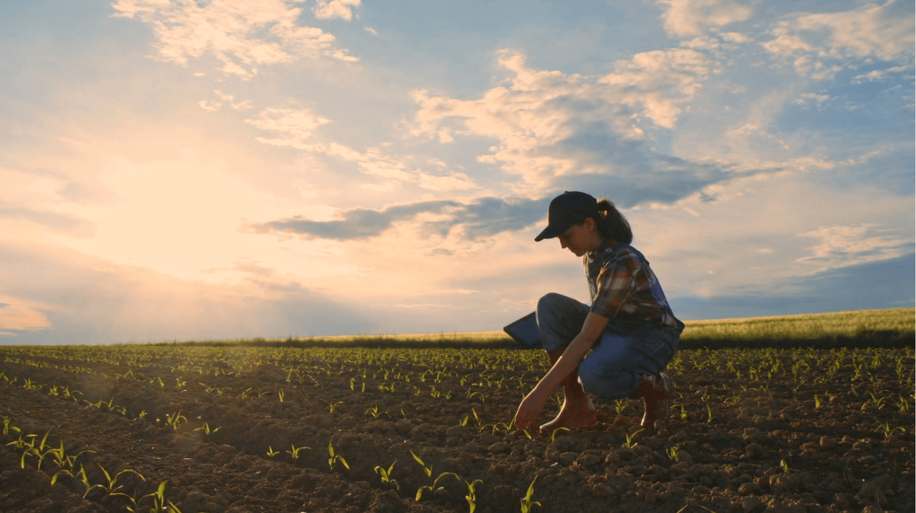 Microsoft FarmBeats Öğrenci Kiti, Okul ve Ev için Akıllı Tarım Deneyimi