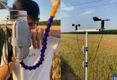 SenseCAP LoRaWAN’ın Triticale Tarımındaki Rolü: Hassas Tarım ve Sürdürülebilir Geçim Gelişimi Dingzhou, Kuzey Çin