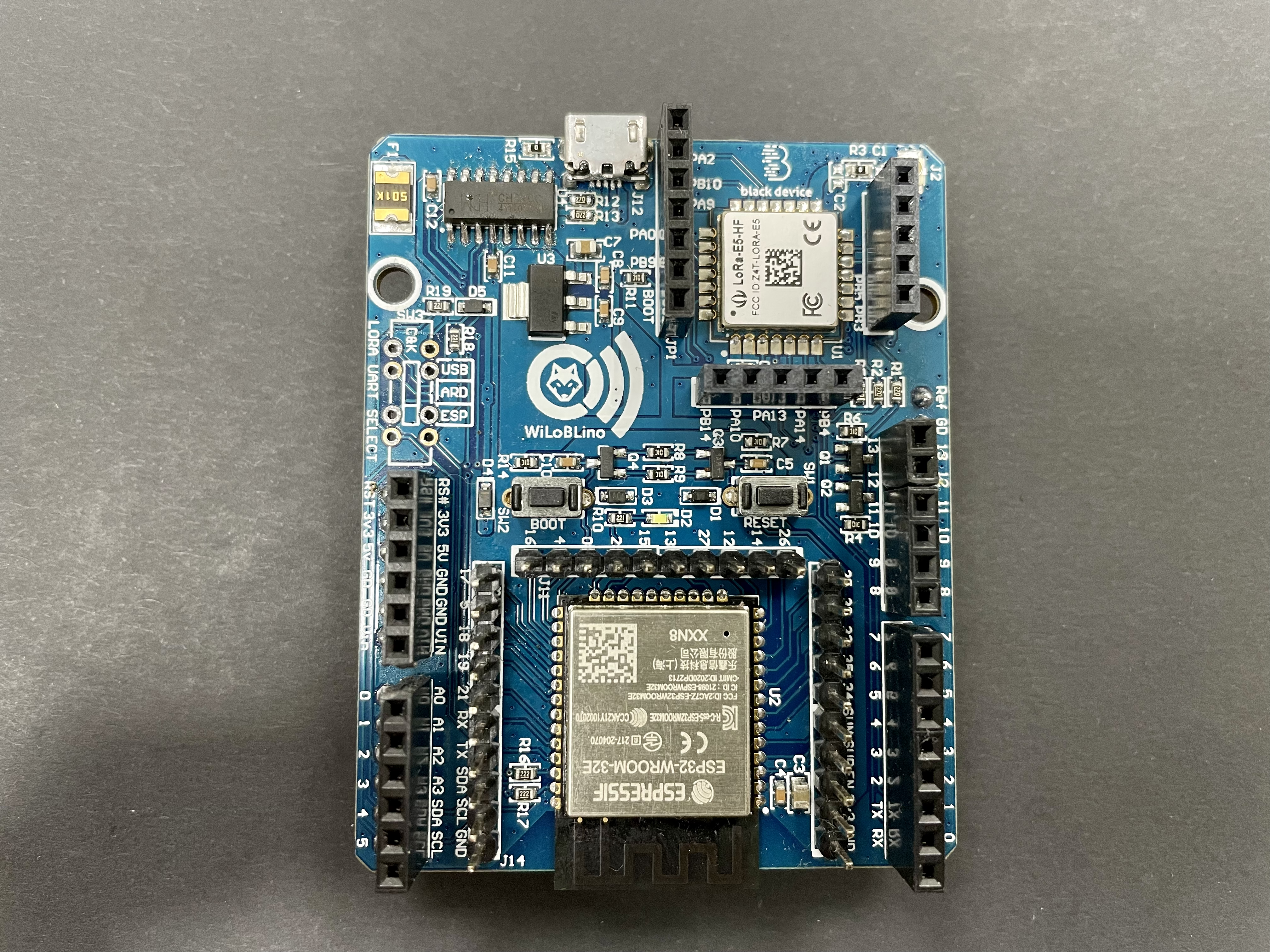 Ses Gerekli! Wio-E5 & ESP32 Destekli WiLoBlIno Cihazına Hazır Mısınız?