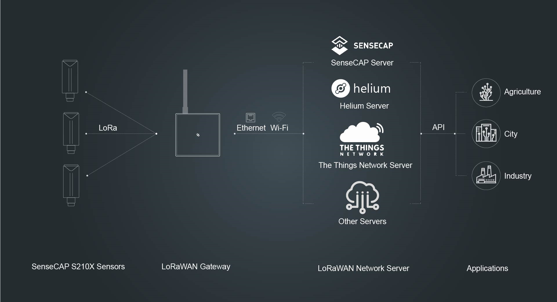 SenseCAP S210x Serisi: Dünya Çapında LoRaWAN Ağları Tarafından Desteklenmektedir