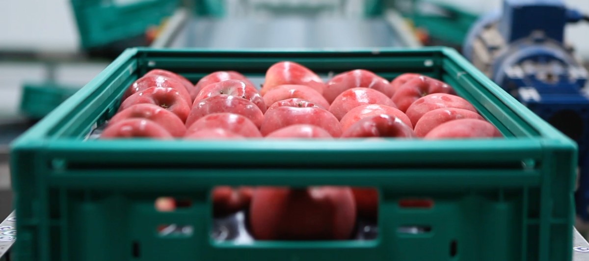 ODM Vaka Çalışması: reTerminal ile Güçlendirilmiş Akıllı Paketleme Sistemi