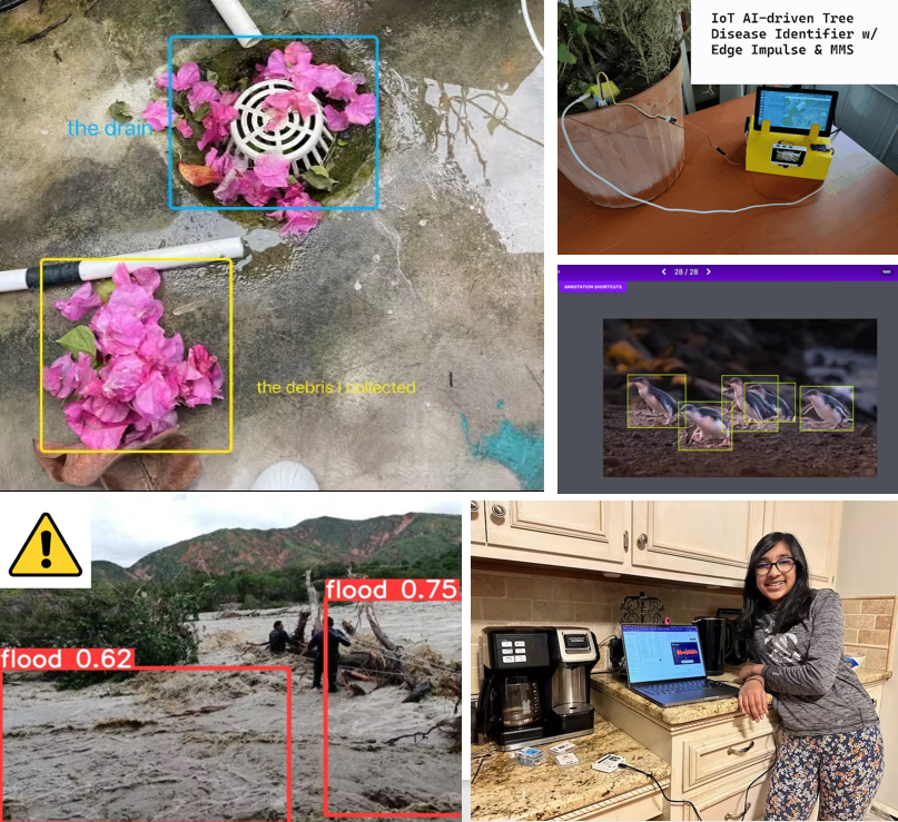 Grove-Vision AI Modülü Kullanan Yenilikçi Topluluk Projeleri: 11 İlham Verici Hikaye