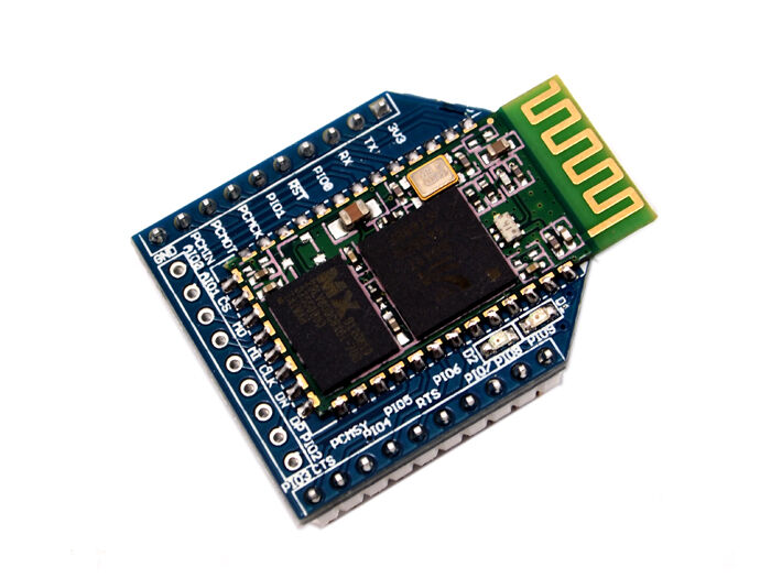 Blueseeed Bee (CSR-BC04) - Image 2