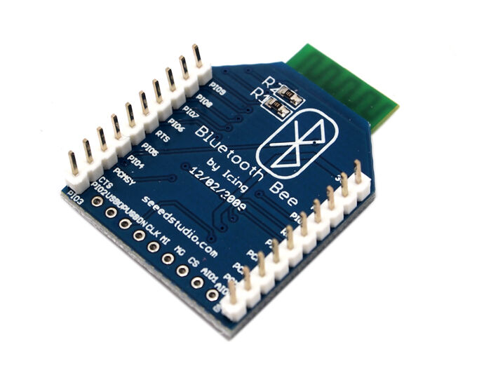 Blueseeed Bee (CSR-BC04) - Image 3