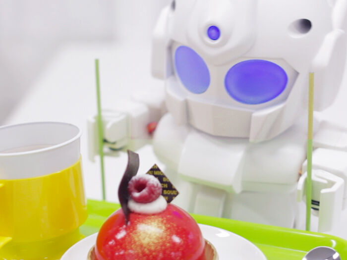 RAPIRO - DIY Model Robot Kit - Image 4
