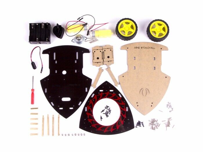 Tricycle Bot - Image 2