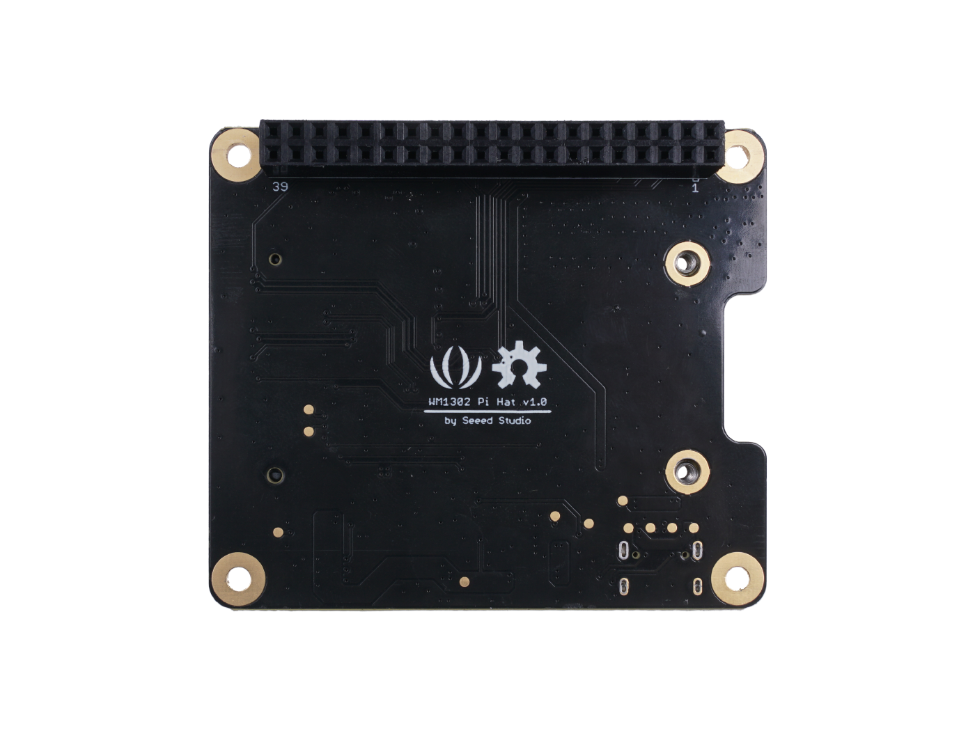 WM1302 Raspberry Pi Hat - Image 2