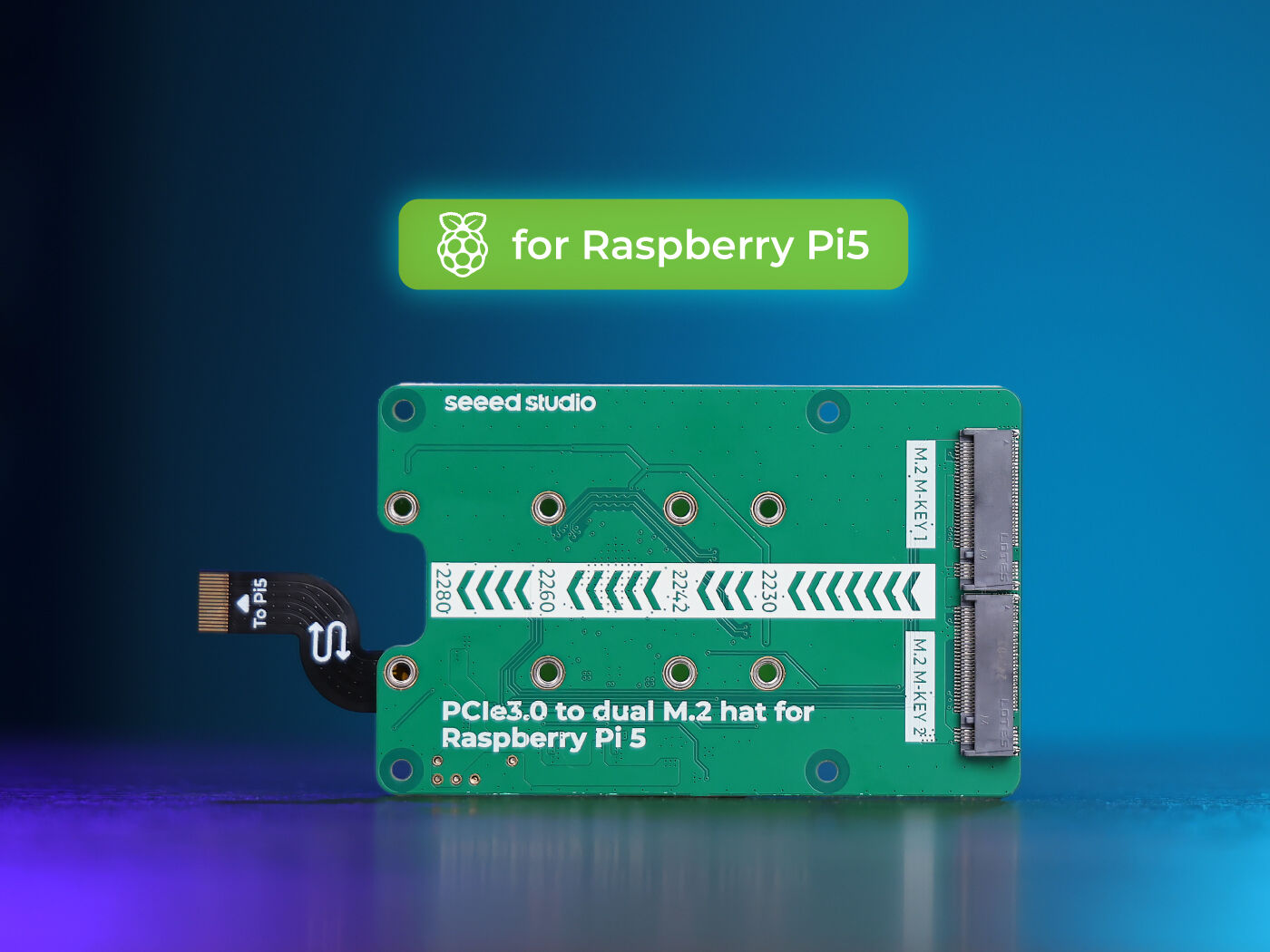 Raspberry Pi 5 için PCIe3.0 Anahtarı, çift M.2 hattı, NVMe SSD desteği, Hailo8/8L desteği